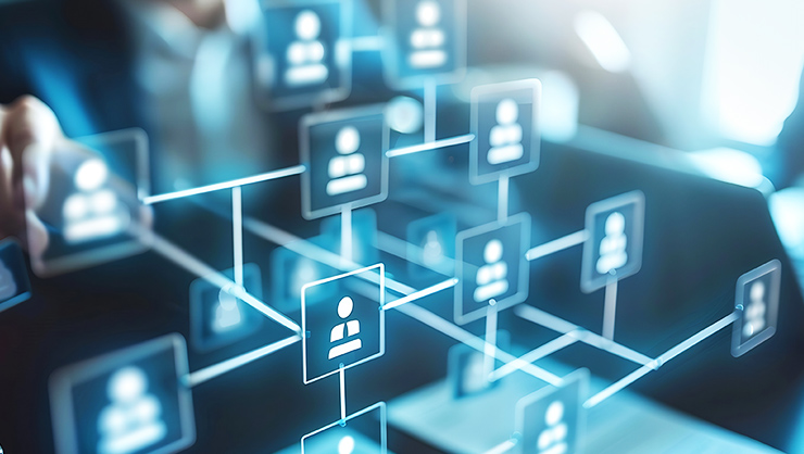 Management Structure Chart