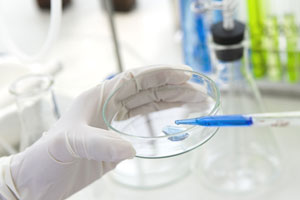 開発パイプライン