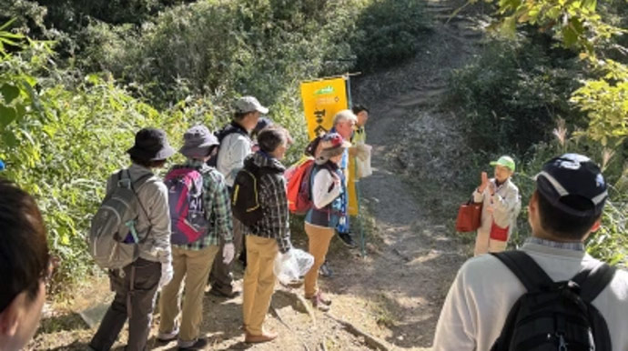 ガイドによる生態系(森林)の説明